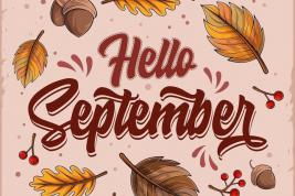 WEEKLY UPDATES